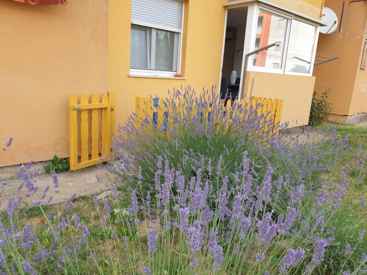 Lav Apartment Rovinj Exterior photo